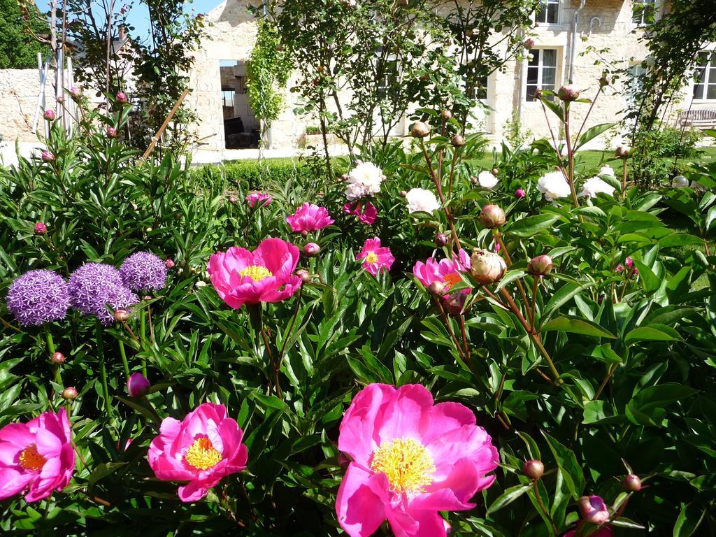 La Maison Du Potager De Mazieres Sainte-Solange Bagian luar foto